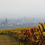 vignoble-dAlsace-en-automne